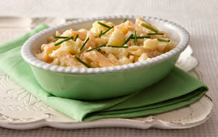 Gluten Free Chicken Penne with Cheese Sauce - San Remo - US